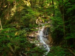 2013-07-20_Regina-F-Rau_Kochel-Rabenkopf (100).JPG